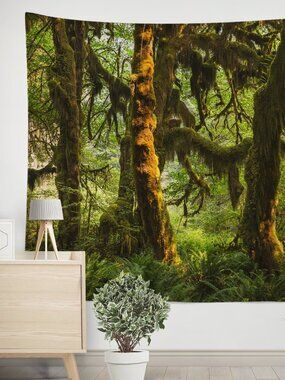 Mossy Forest Wall Tapestry, Large Decor Pacific Northwest Scenery